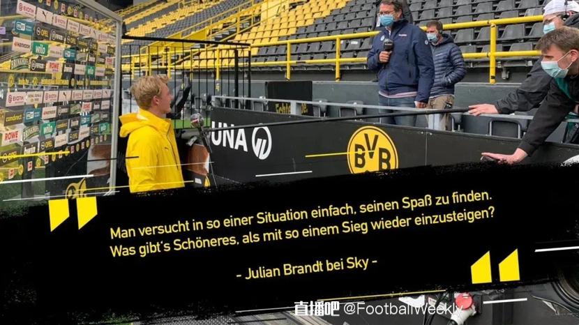 业生涯的球 业生涯的球